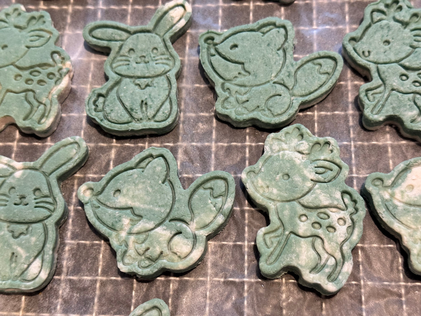 Chicken Spirulina Biscuits with Coconut oil