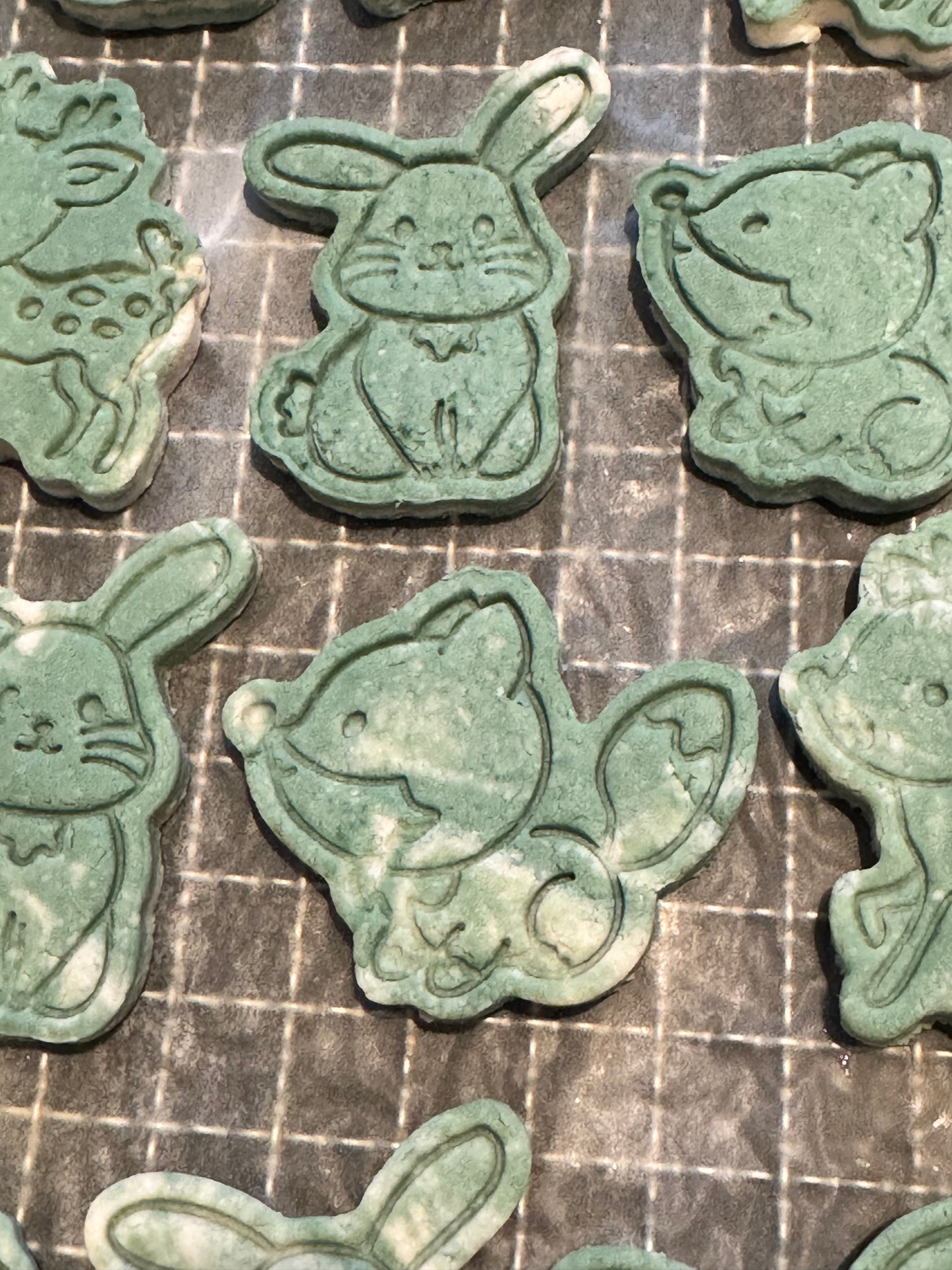 Chicken Spirulina Biscuits with Coconut oil