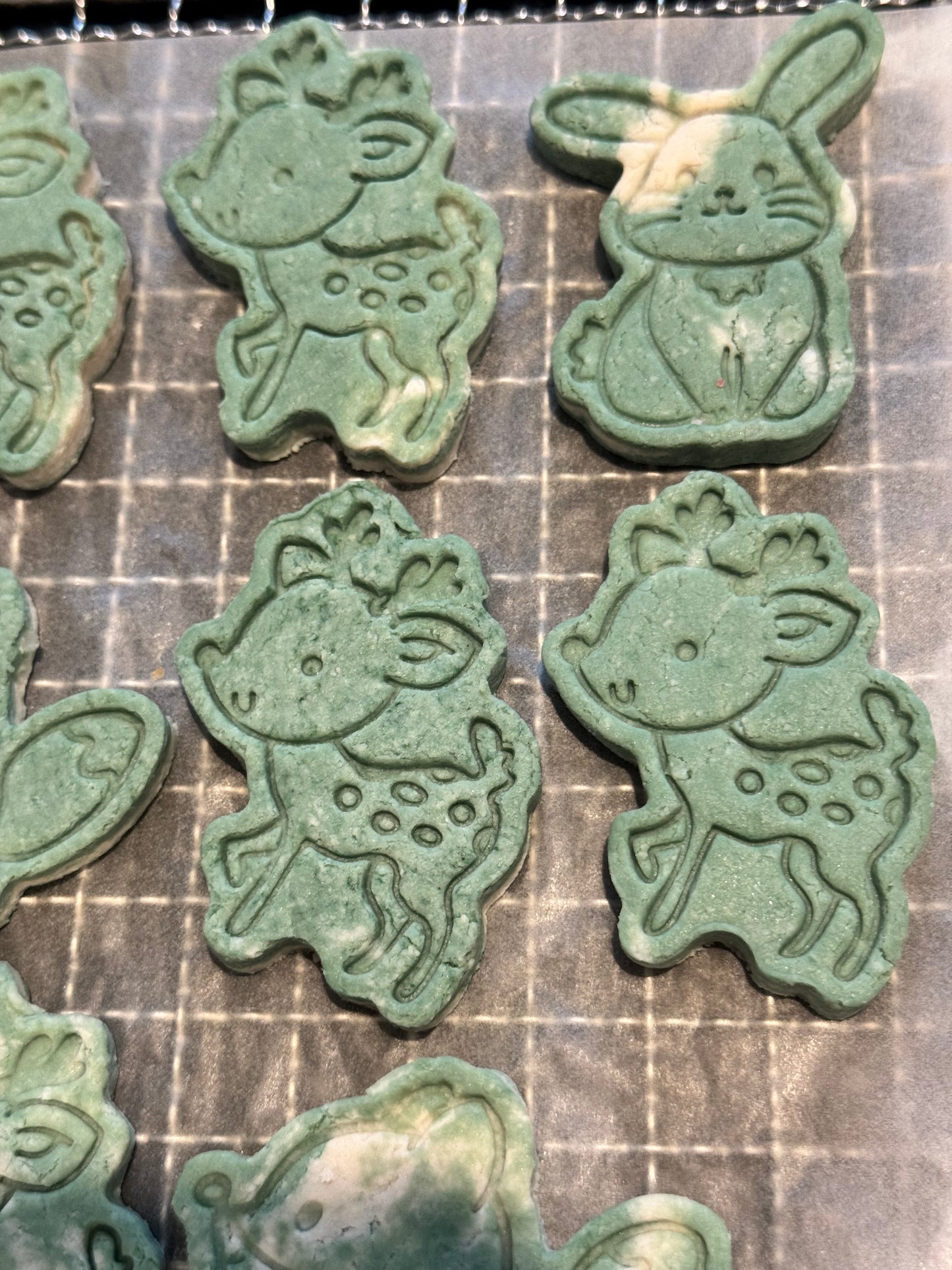 Chicken Spirulina Biscuits with Coconut oil