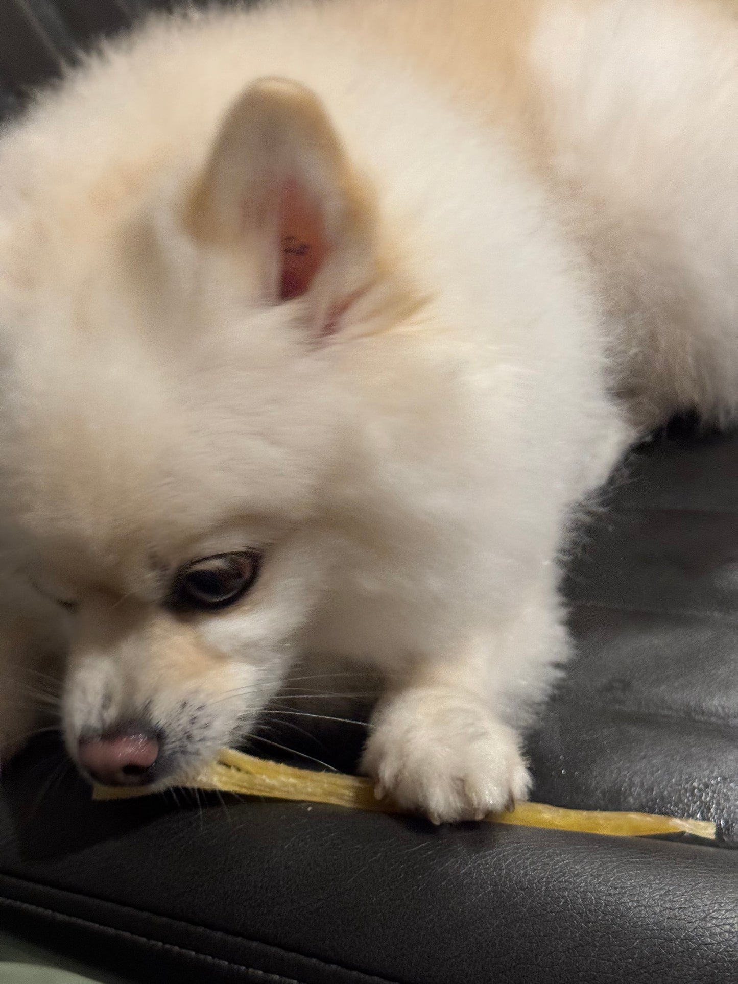 Fluffy Baby Bake Premium Beef Tendon Chews