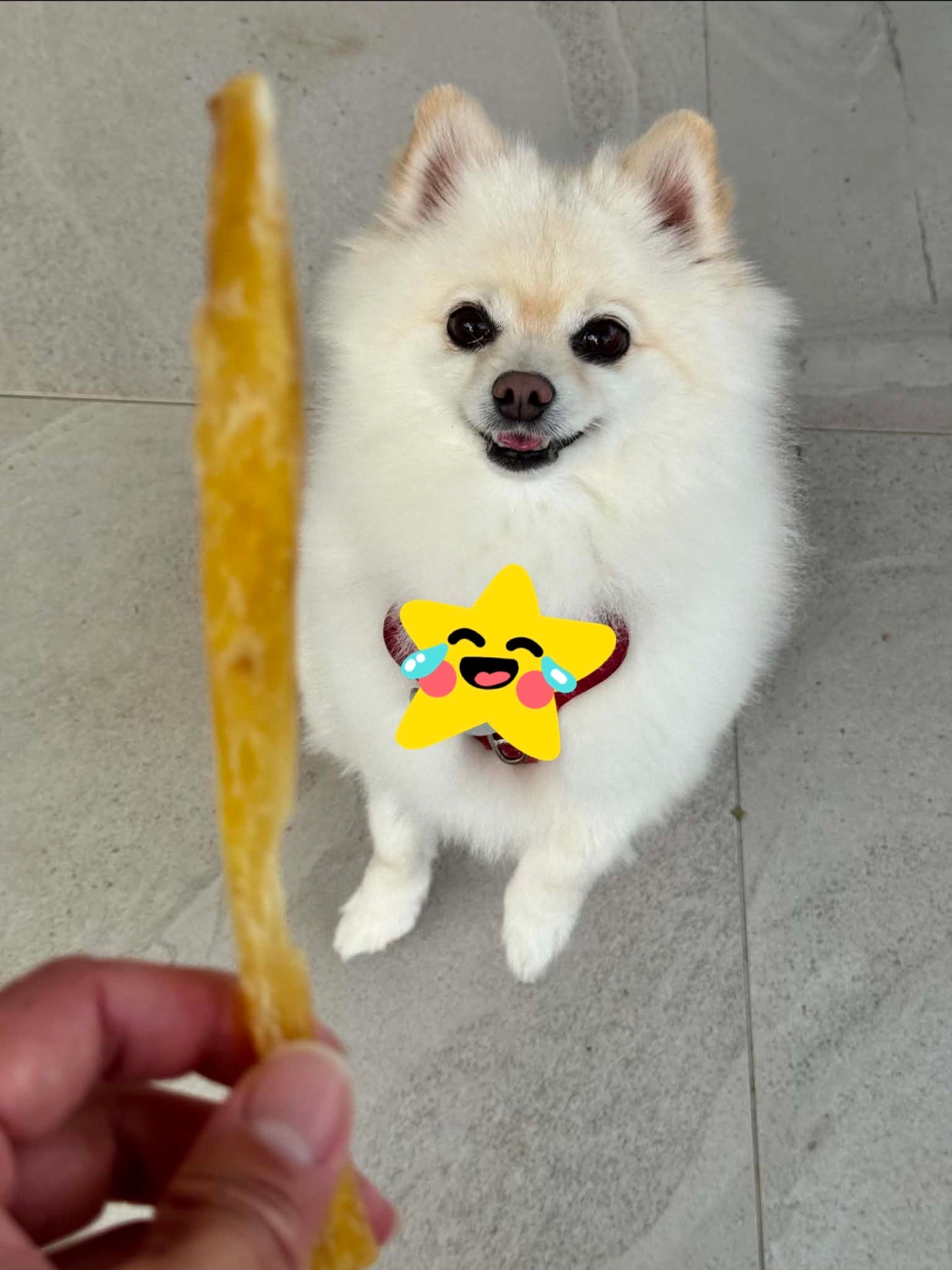 Fluffy Baby Bake Premium Beef Tendon Chews